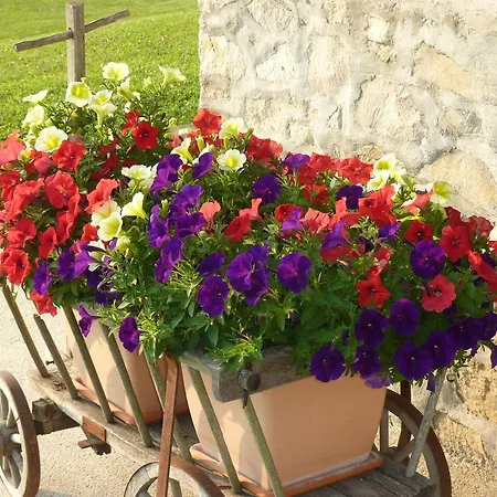 Nocleg ze śniadaniem Valbelluna